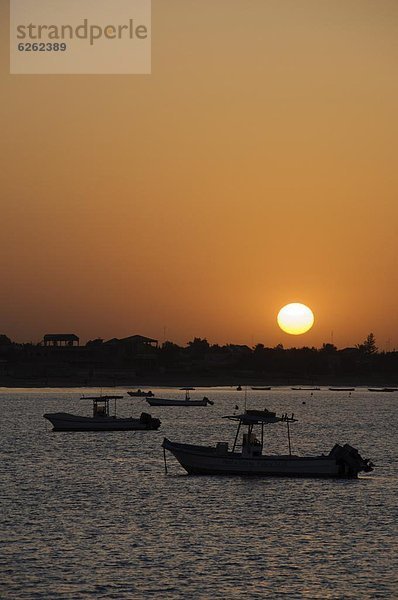 Westafrika  Afrika  Senegal