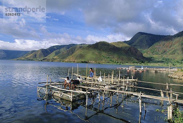 Fisch  Pisces  See  Zucht  Asien  Indonesien  Sumatra