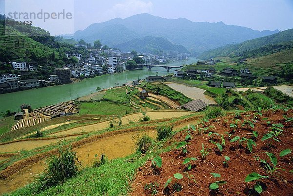 Ziegelstein  Reis  Reiskorn  Neuengland  China  Guangxi  Longsheng