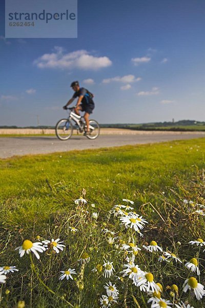 Spur Europa Großbritannien fahren Fahrradfahrer Fernverkehrsstraße vorwärts Einsamkeit Dorset England