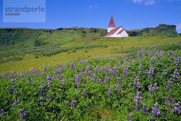 Vík í Mýrdal  Island