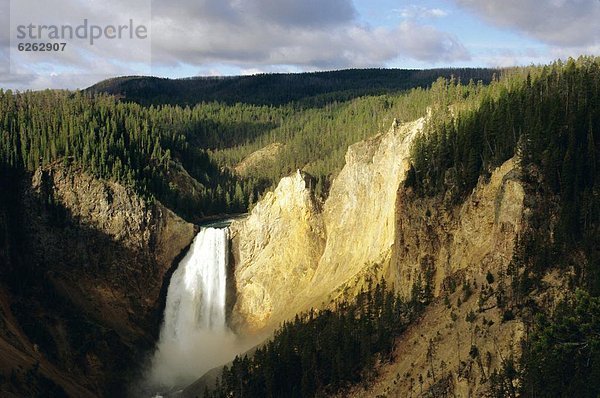 Vereinigte Staaten von Amerika  USA  Grand Canyon  Yellowstone Nationalpark  Lower Falls  Wyoming