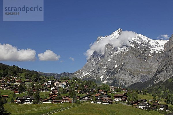 Europa  Westalpen  Berner Oberland  Schweiz