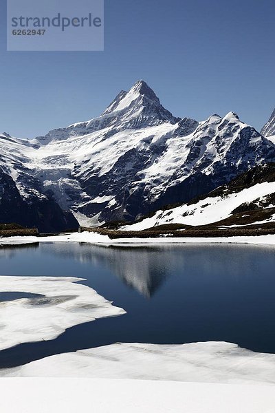 Europa  Alpen  Bachsee  Westalpen  Berner Oberland  Grindelwald  Schweiz