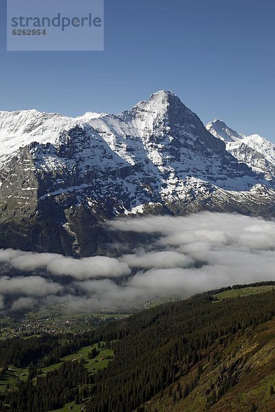 Europa  Alpen  Ansicht  Eiger  Westalpen  Berner Oberland  Grindelwald  Schweiz