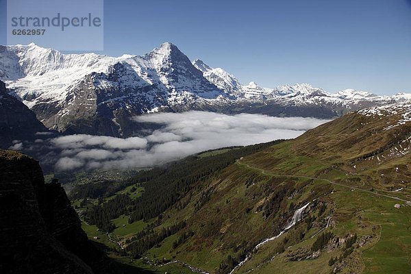 Europa  Alpen  Ansicht  Eiger  Westalpen  Berner Oberland  Grindelwald  Schweiz