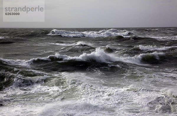 Europa  Winter  Großbritannien  Meer  ungestüm  zeigen  Devon  England