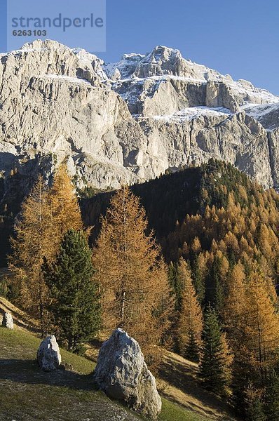 Europa  Dolomiten  Trentino Südtirol  Italien