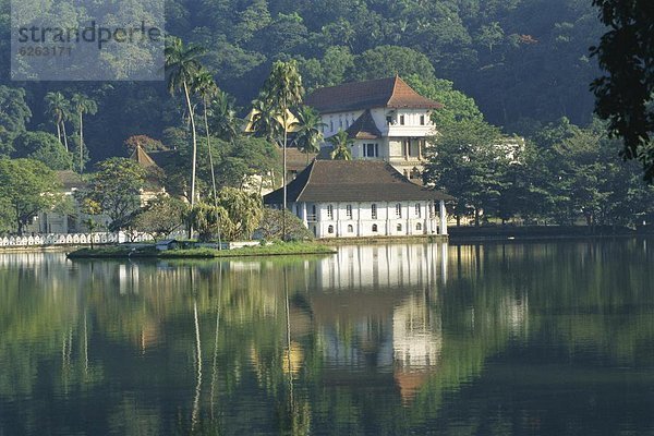 Gebäude Buddha Kandy Reliquie Sri Lanka