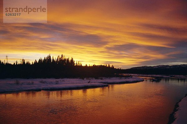 Vereinigte Staaten von Amerika  USA  Winter  Sonnenuntergang  Wärme  über  Fluss  Yellowstone Nationalpark  Wyoming
