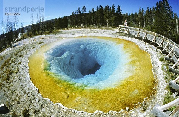 Vereinigte Staaten von Amerika  USA  Farbaufnahme  Farbe  Alge  Temperatur  Morning Glory Pool  Yellowstone Nationalpark  Wyoming