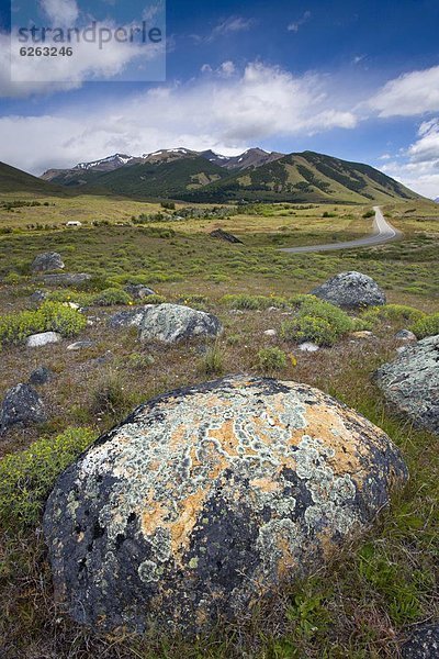 Argentinien  Patagonien  Südamerika