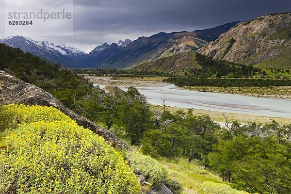 Berg  sehen  Tal  Fluss  Geflochtener Zopf  El Chaltén  Argentinien  Patagonien  Südamerika