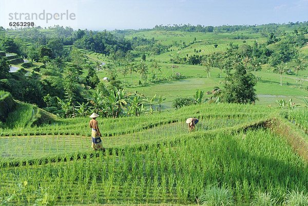 Indonesien