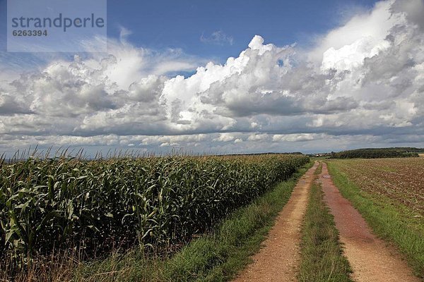 nahe  Europa  Landschaft  Landwirtschaft  Deutschland  Rheinland-Pfalz