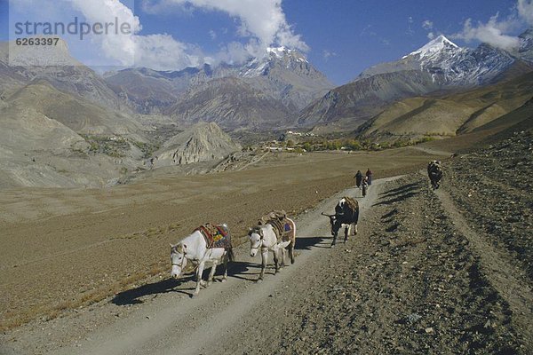 Mustang  Nepal