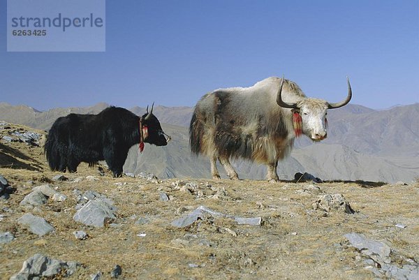 China  Tibet