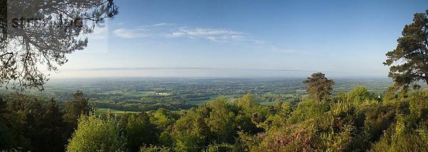 Europa  Sommer  Morgen  Großbritannien  Ansicht  zeigen  Süden  England  Surrey  surrey hills