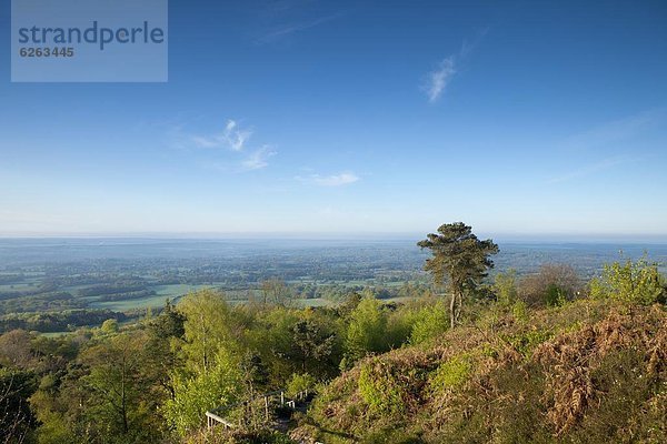 Europa  Morgen  Großbritannien  Ansicht  zeigen  Süden  England  Surrey  surrey hills