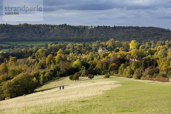 Europa  Großbritannien  Hügel  Herbst  Ansicht  Dorking  England  Surrey  surrey hills