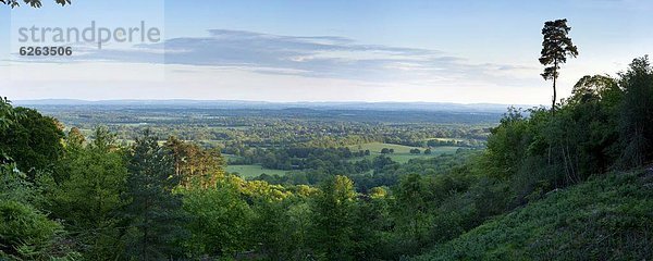 Europa  Großbritannien  Hügel  Ansicht  England  Süden  Surrey  surrey hills