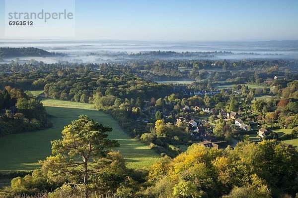 Europa  Morgen  Großbritannien  Hügel  Dunst  Herbst  Ansicht  England  Surrey  surrey hills