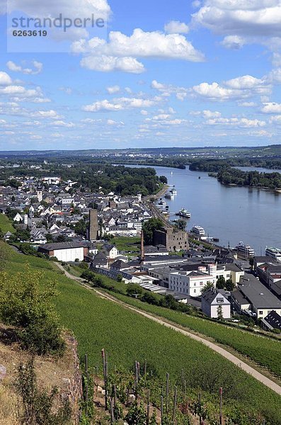 Europa  Deutschland  Hessen  Rheintal