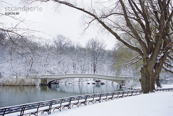 Vereinigte Staaten von Amerika  USA  New York City  Blizzard  Brücke  Unterricht  Mittelpunkt