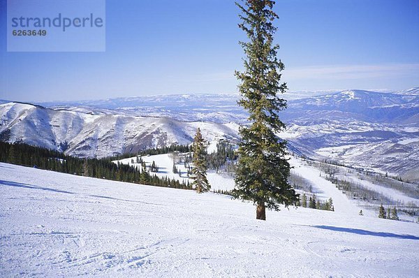 Vereinigte Staaten von Amerika  USA  Colorado