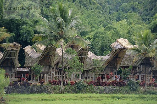 Indonesien  Sulawesi