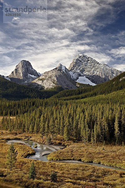 Nordamerika  Rocky Mountains  Peter Lougheed Provincial Park  Alberta  Kanada  Kananaskis Country