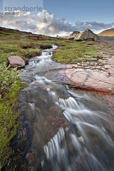 Vereinigte Staaten von Amerika  USA  Nordamerika  Glacier Nationalpark