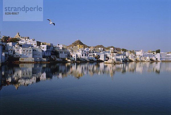 Indien  Pushkar  Rajasthan