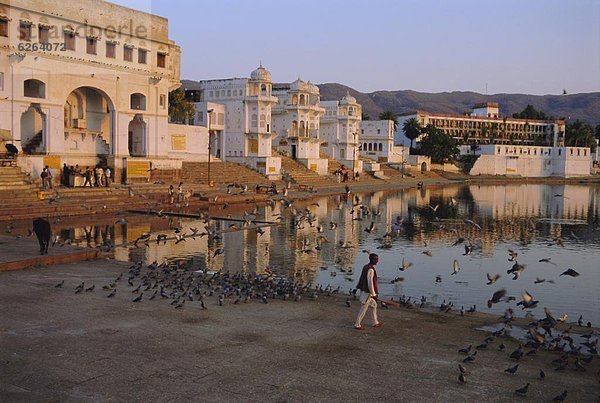 Indien  Pushkar  Rajasthan