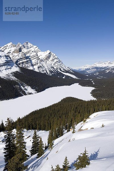 Nordamerika  Rocky Mountains  Peyto Lake  UNESCO-Welterbe  Alberta