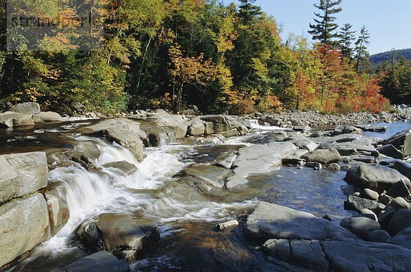 Vereinigte Staaten von Amerika  USA  New Hampshire