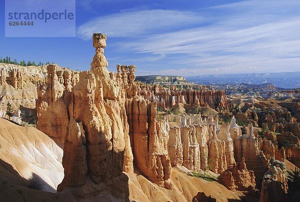 Vereinigte Staaten von Amerika  USA  folgen  Hammer  Bryce Canyon Nationalpark  Navajo  Utah