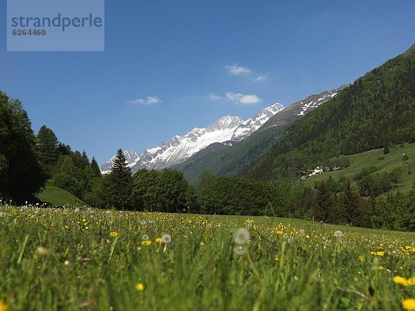 Europa Westalpen Kanton Uri Schweiz Schweizer Alpen