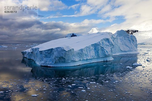 Eisberg  dahintreibend  übergroß  Antarktis  Halbinsel