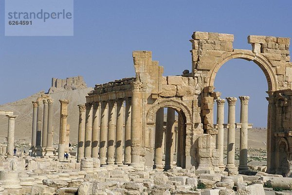 Naher Osten  Palmyra  Syrien  Triumphbogen