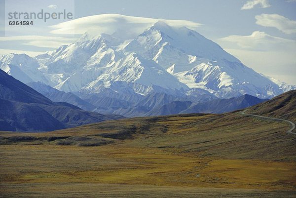 Vereinigte Staaten von Amerika  USA  Mount McKinley  Denali Nationalpark  Alaska