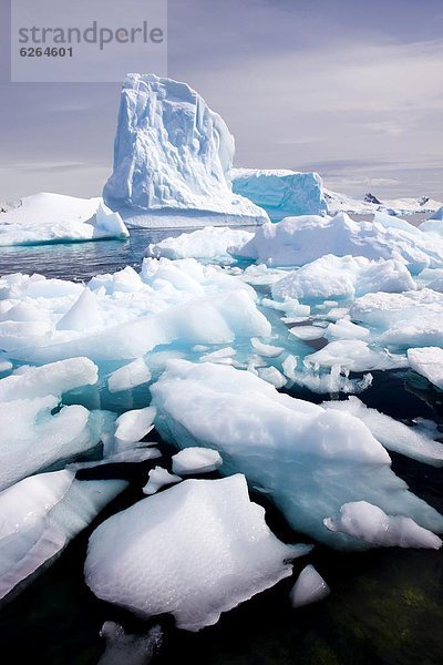 nahe  Wasserrand  Hafen  Eisberg  Antarktis  Paradies