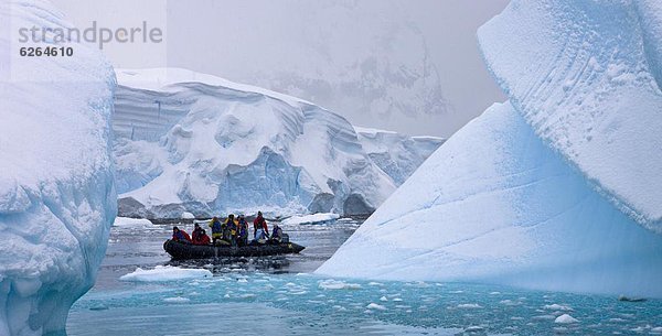 Eisberg  Tourist  Boot  Friedhof  Kreuzfahrtschiff  Ökologie  Sternzeichen  Antarktis