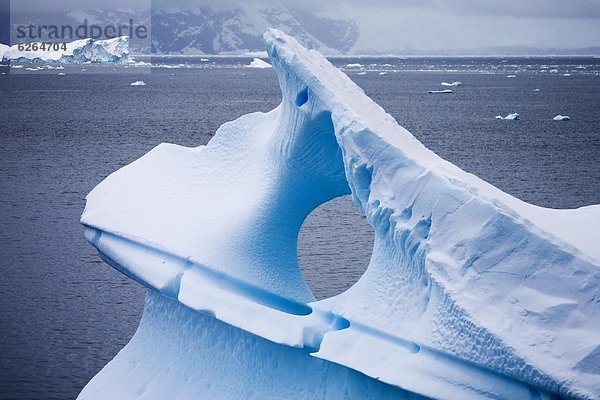 Eisberg  Wasser  treibend  Bildhauerei  Antarktis  Halbinsel