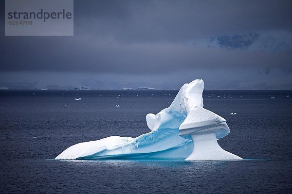Eisberg  Wasser  treibend  Bildhauerei  Antarktis  Halbinsel