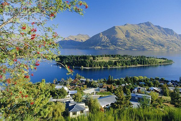 neuseeländische Südinsel  Australasien  Neuseeland  Otago  Queenstown