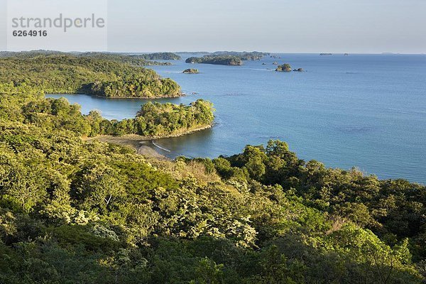 Botanik  Insel  Mittelamerika  Panama  dicht