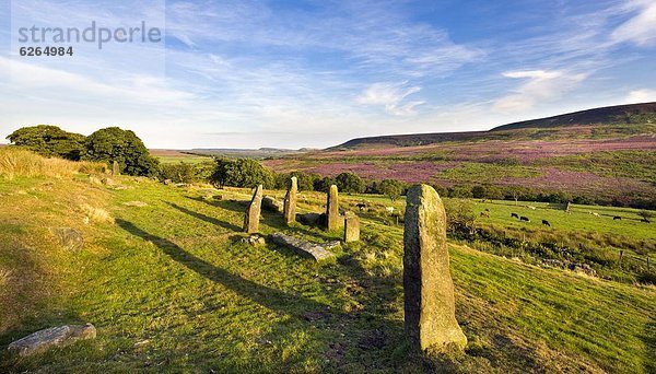 entfernt  stehend  Europa  Stein  Großbritannien  groß  großes  großer  große  großen  Moor  England  North Yorkshire