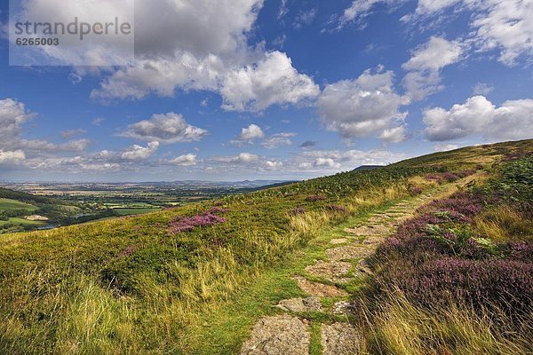 Europa  Großbritannien  Yorkshire and the Humber  North Yorkshire  England