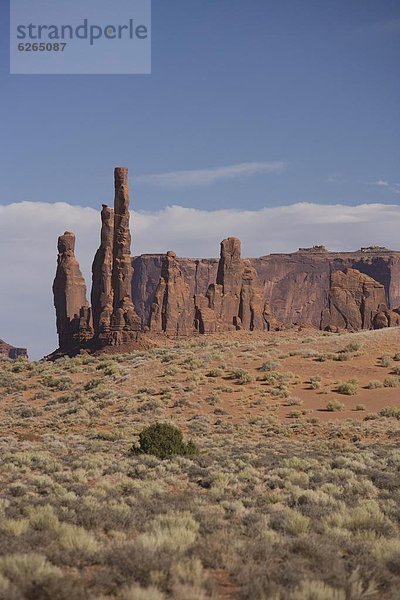 Vereinigte Staaten von Amerika  USA  Totempfahl  Nordamerika  Monument Valley  Utah